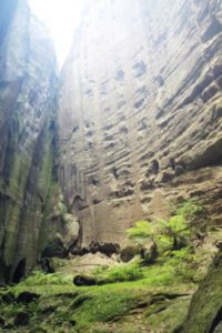 Amphitheatre Carnarvon Gorge