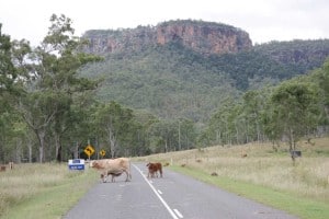 Cania Gorge