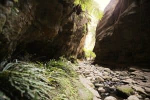 Mickey Creek Gorge Carnarvon Gorge