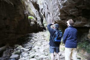 Mickey's Creek Carnarvon Gorge