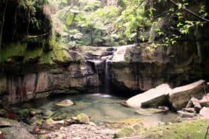 Moss Garden Carnarvon Gorge