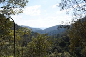 Views overlooking Kondalilla National Park