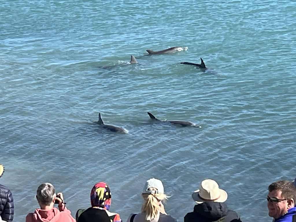 Shark Bay