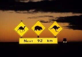 Road signs along the Nullarbor