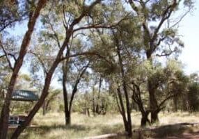 Tregole National Park near Morvin QLD