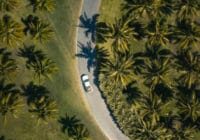 queensland roads palm trees birdseye view